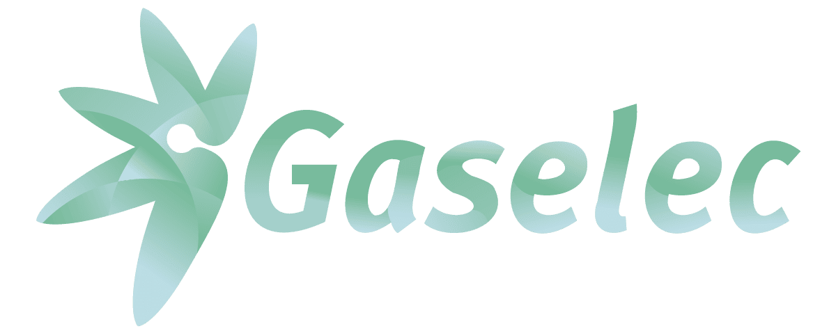 Gaselec Melilla logo